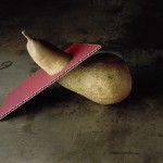 Jacques Schumacher, Everything is a life, Everything is a life, Dr. Eva Gesine Baur, Kerber Verlag