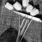 Jacques Schumacher, Everything is a life, Everything is a life, Dr. Eva Gesine Baur, Kerber Verlag