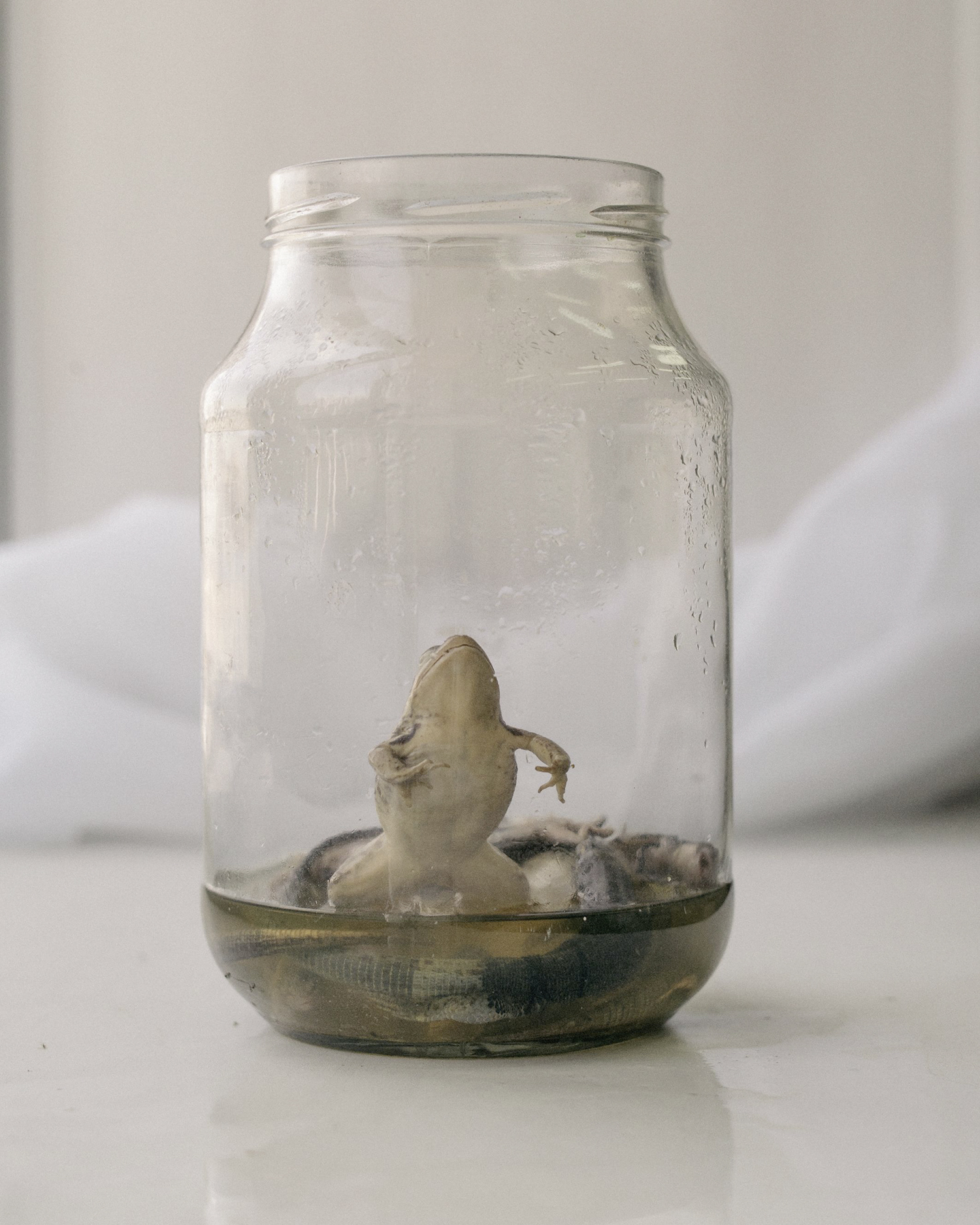 Oskar Barnack Award 2019