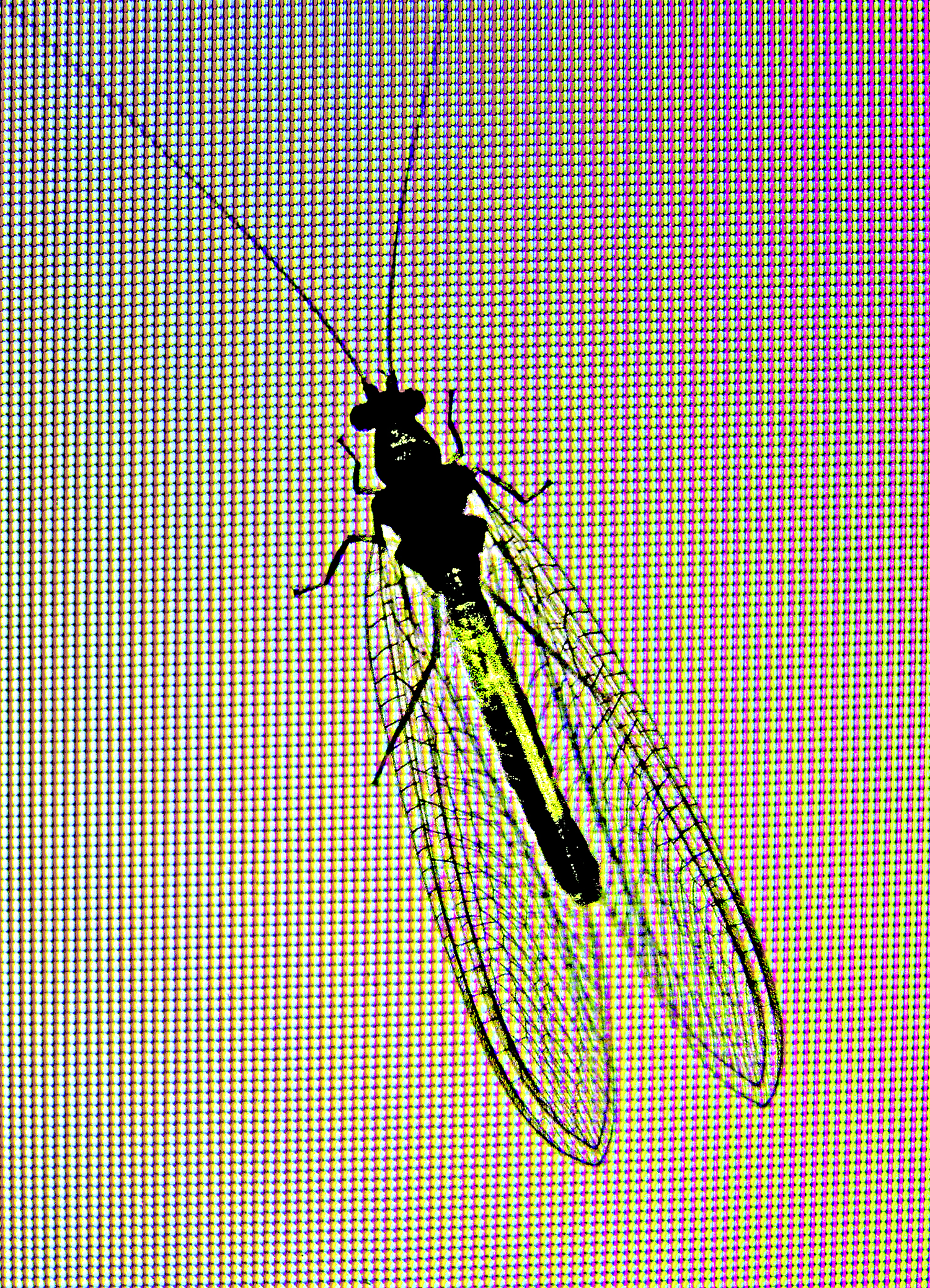 MCBW Key Visual 2020