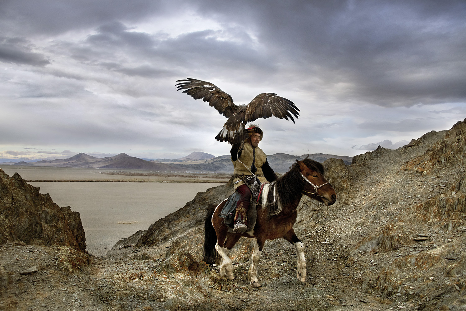 Steve McCurry, Animals, Taschen Verlag