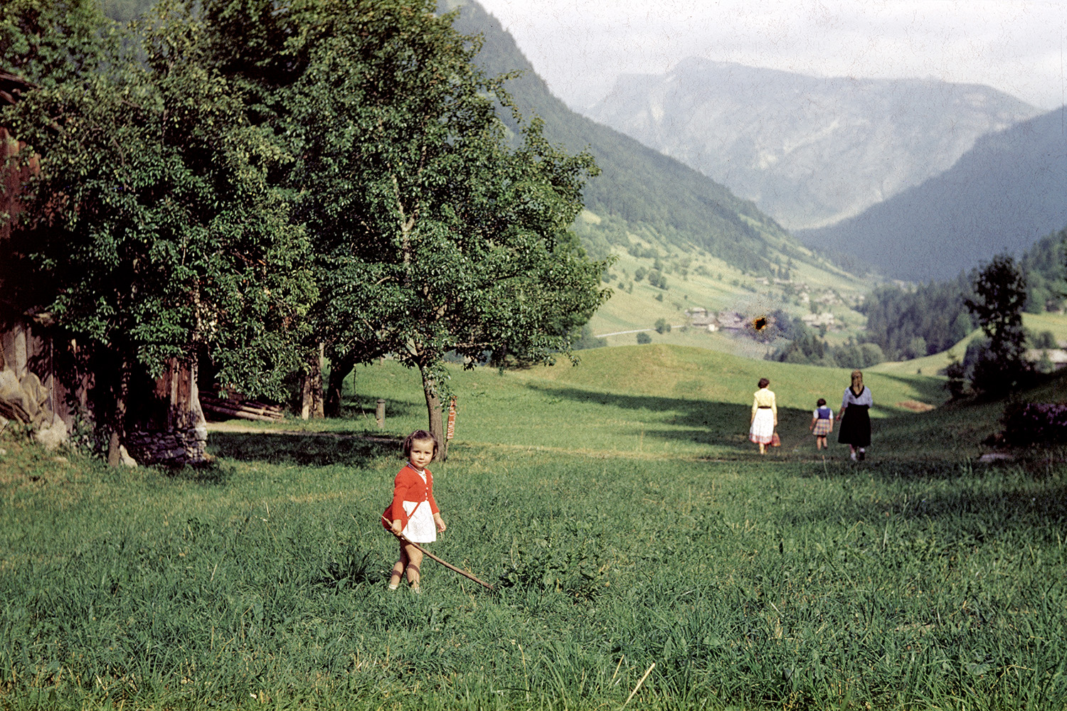 Lee Shulman im Taschen Verlag: Midcentury Memories