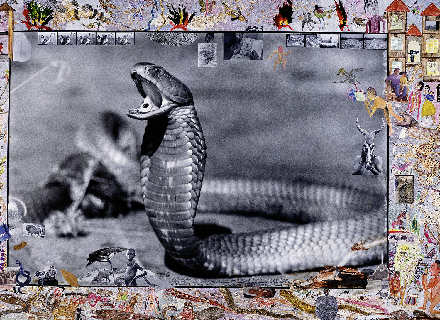 Peter Beard, Taschen Verlag