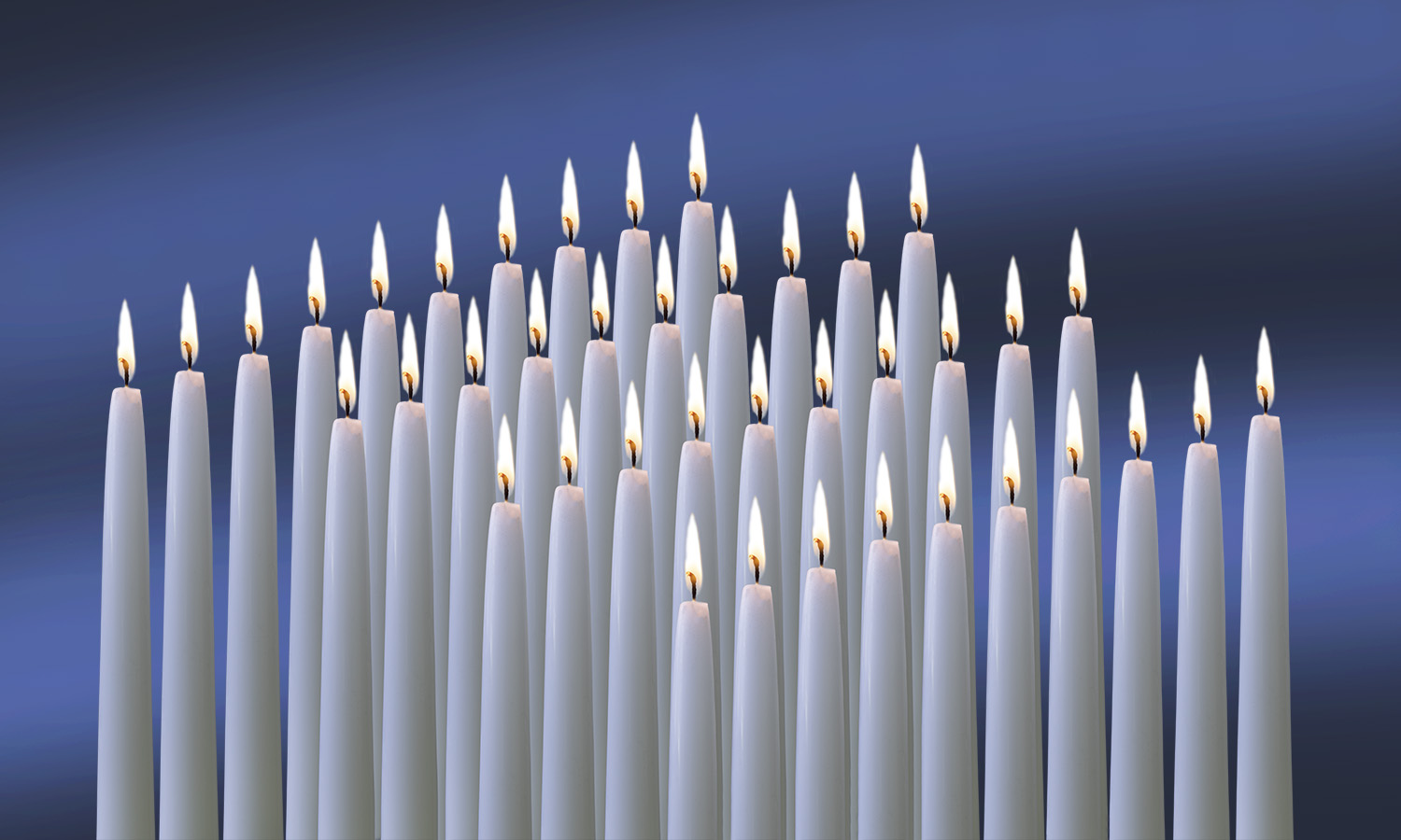 TASCHEN VERLAG, 40 Jahre...