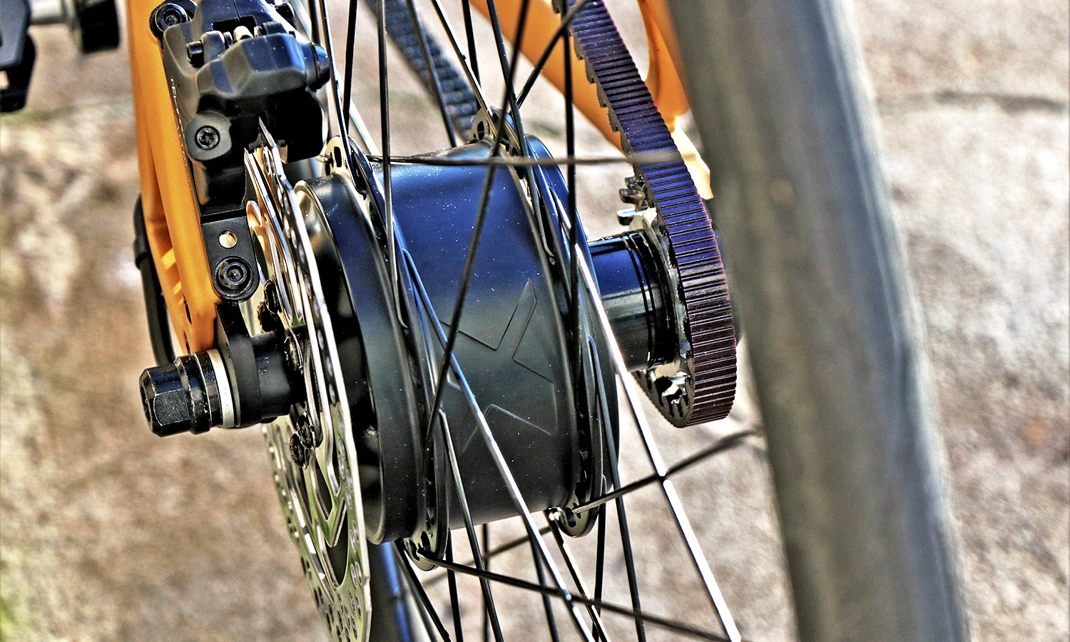 Urwahn Platzhirsch E-Bike