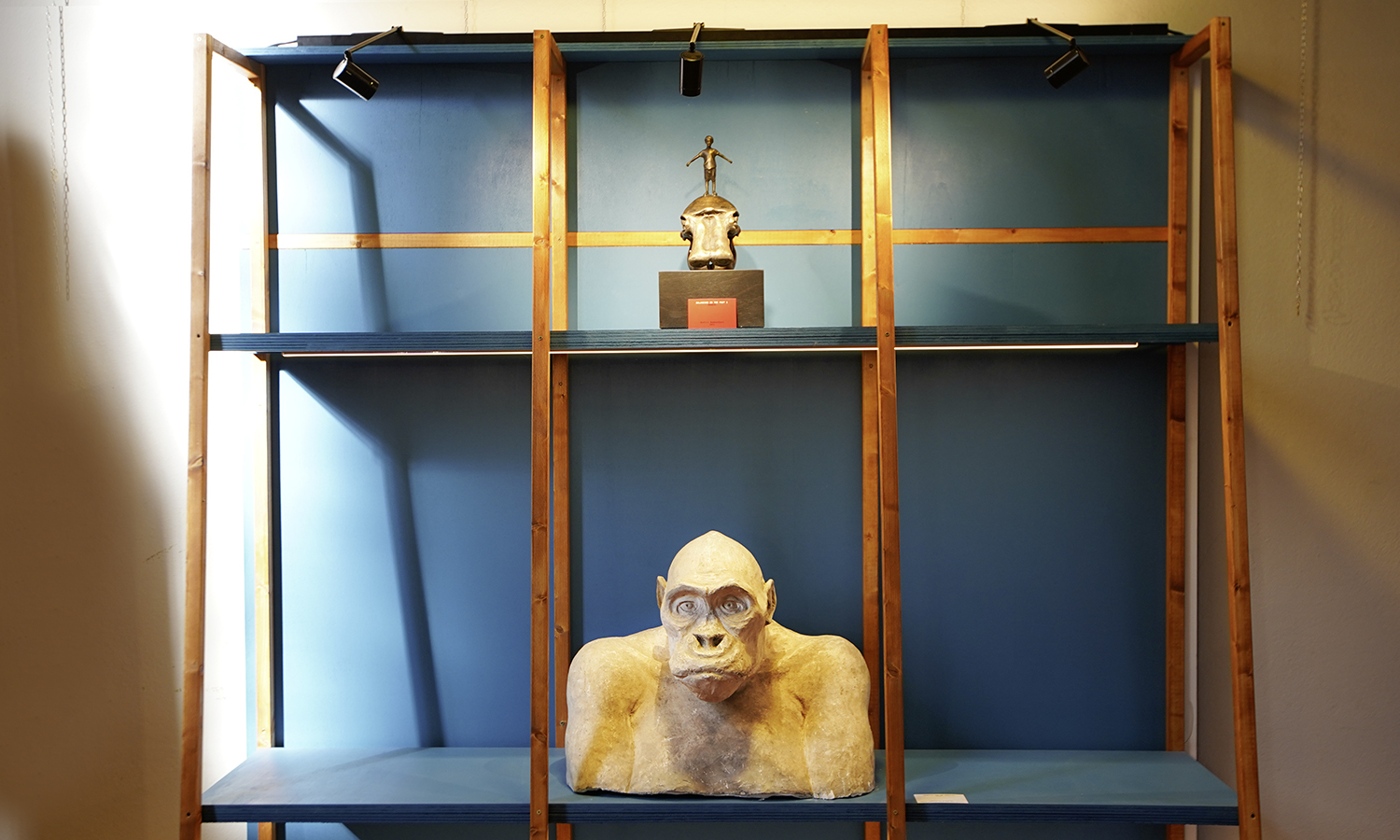 ANIMAL HOUSE / CREMONA / PALAZZO FODRI