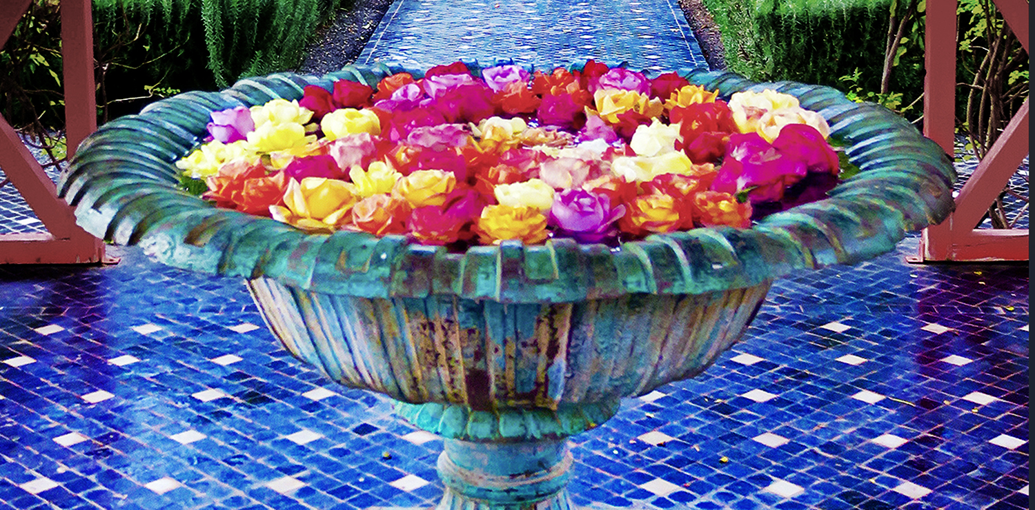 ANIMA / ANDRÉ HELLER