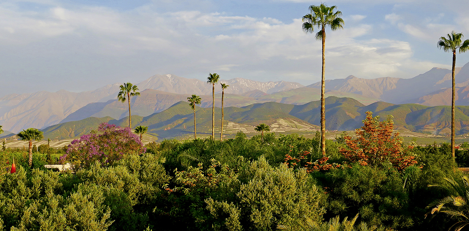 ANIMA / ANDRÉ HELLER